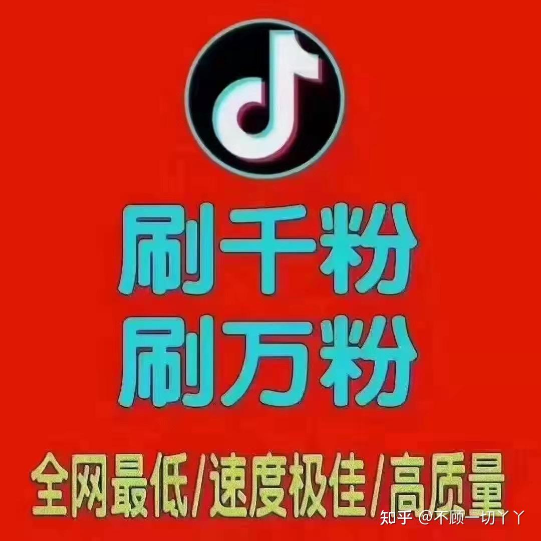 TikTok 普通粉 10 元 100 个，专业刷粉服务助你快速提高人气