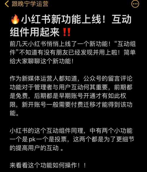 小红书互动通知管理指南：轻松掌握如何设置和调整互动通知