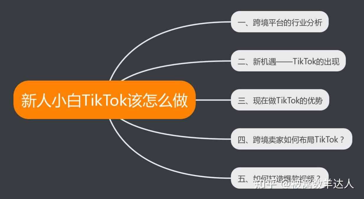 1000粉丝 TikTok 搬运视频能否成为副业？需注意法律风险