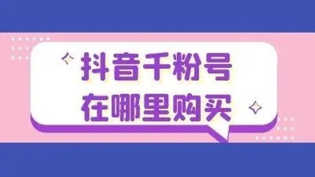 抖音 1000 个活粉在哪买？如何选择购买平台？