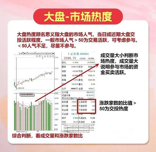 直播 最新选股策略来袭，助你轻松掌握股市脉搏