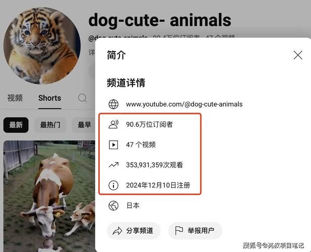 点赞 YouTube Shorts爆款揭秘：如何用天使狗狗AI视频打造3.5亿播放量