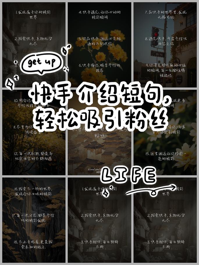 快手_忠诚粉丝_千粉