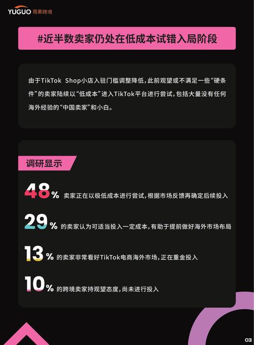 深入探讨TikTok粉丝购买背后的风险与警示及相关现象原因