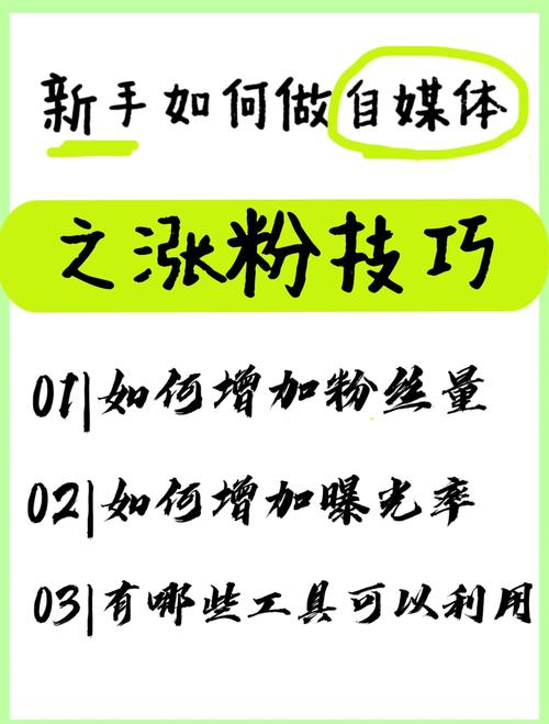 小红书_抖音内容质量提升_抖音涨粉秘诀