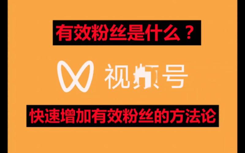视频号购买1000粉丝_1000粉丝_短视频号刷播放量网址