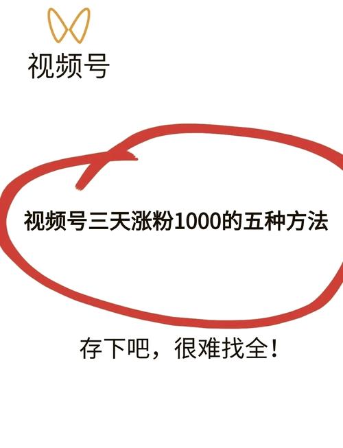 微信视频号如何被系统推荐？掌握3大算法核心，实现快速涨粉与热门推荐