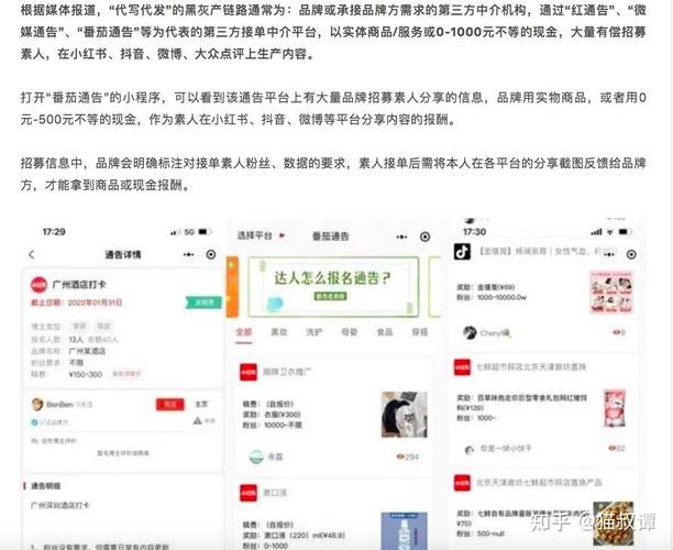 探讨小红书买粉刷赞风险，1000粉丝自助下单平台揭秘