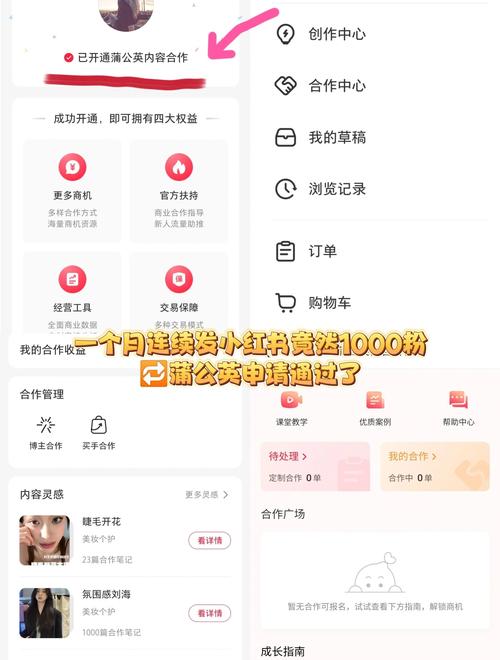 小红书蒲公英下单步骤_小红书蒲公英合作流程_小红书