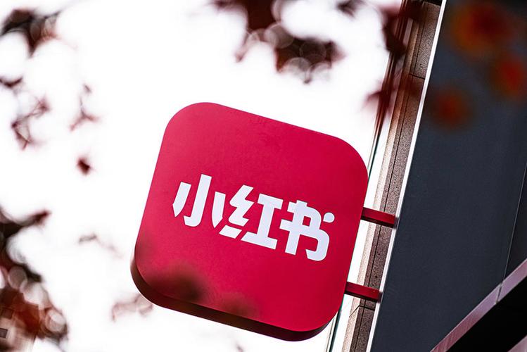 1000粉_如何通过小红书赚钱_小红书1万粉丝收入