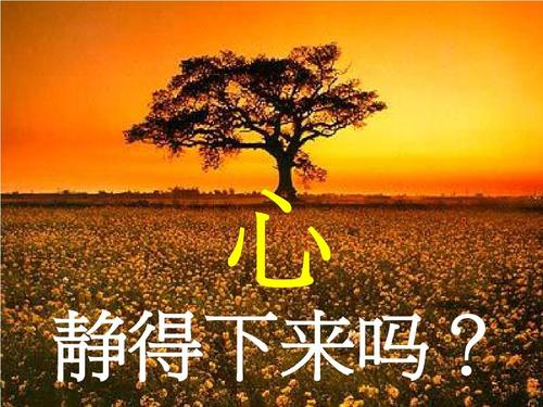 播放_感恩坚持_人生智慧