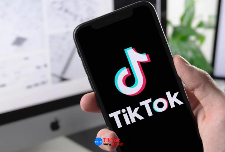 抖音 国内用户用不了TikTok咋整？网站有专门使用方法