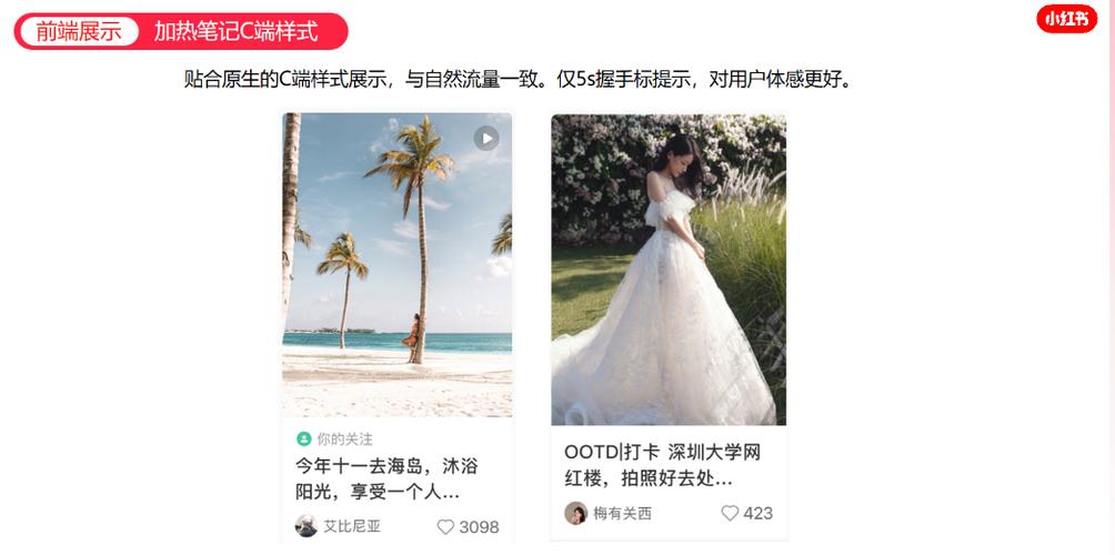 小红书蒲公英如何使用_小红书_小红书蒲公英功能用途